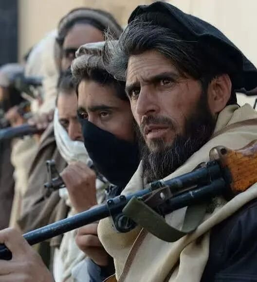  牛弹琴：一觉醒来，这两个邻国大打出手了 新闻 牛弹琴：一觉醒来，这两个邻国大打出手了 新闻