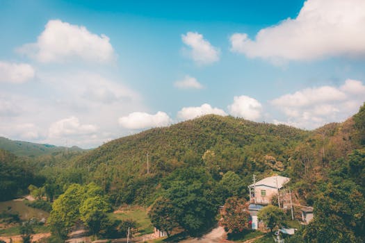 百年股灾启示录:一位资深交易员眼中的市场变局与应对之道 股票财经