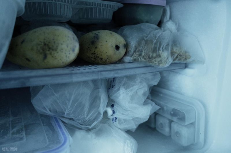  冰箱里的“隐形杀手”：一份被忽视的家庭生存指南 健康养生