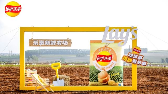  从生死时速到海外版图：一家钢构巨头如何借力金融突围全球化迷局？ 新闻