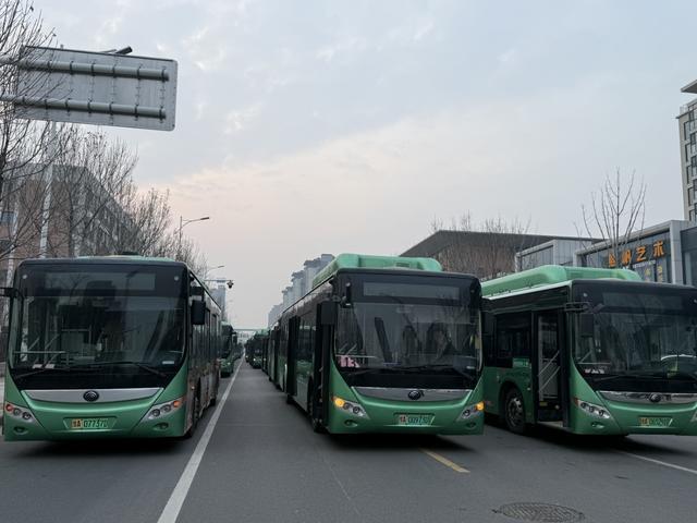  清明出行不用慌：港区公交的这份「暖心攻略」，专治你的换乘焦虑 新闻