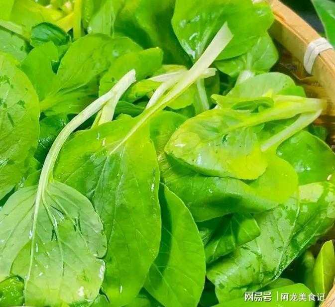  清明买菜避坑指南：二十年菜贩子亲授六类应季蔬菜鉴别逻辑 健康养生