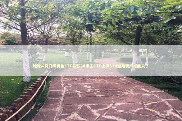 地缘冲突升级有色ETF暴涨36军工ETF上探334避险资产彻底火了