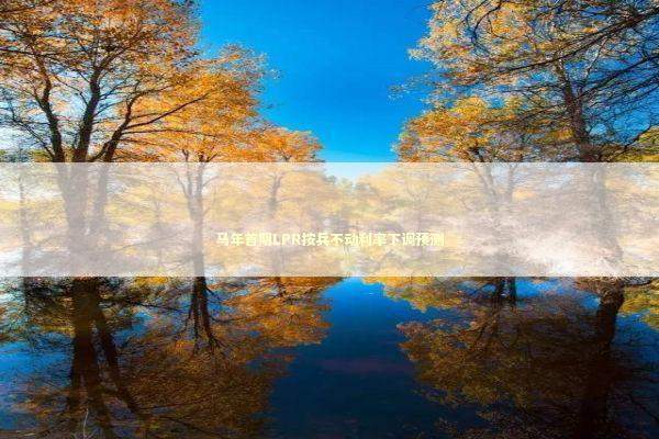 马年首期LPR按兵不动利率下调预测 新闻