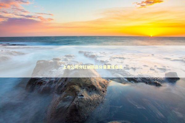 上市公司分红创新高分量重成色足 新闻