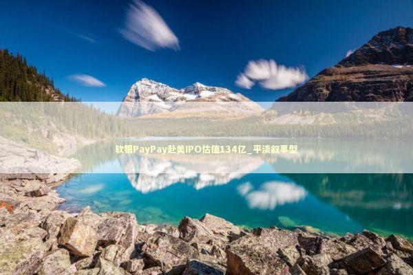 软银PayPay赴美IPO估值134亿_平淡叙事型