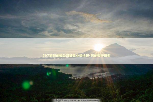 597家科创板公司披露业绩快报-科创板抒情型