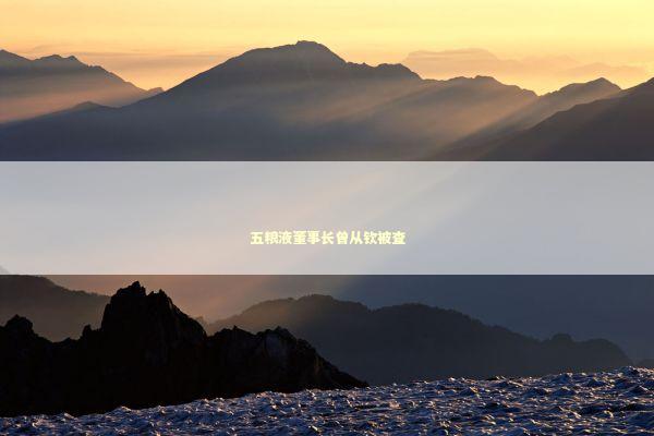 五粮液董事长曾从钦被查