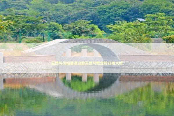 天然气价格暴涨这些天然气概念股业绩大增 新闻