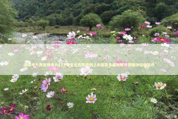 涪陵电力两连板电力ETF华宝五连阳迭创上市新高多重利好共振板块估值抬升