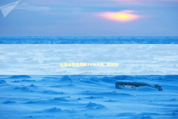 比亚迪销量跌破20万大关_趣味型