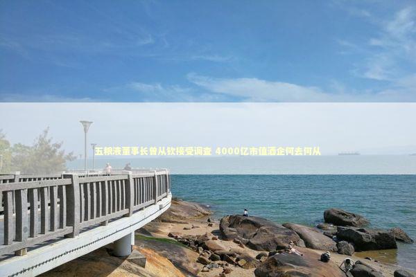 五粮液董事长曾从钦接受调查 4000亿市值酒企何去何从