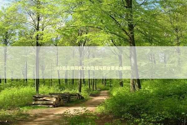 00后高铁司机工作流程与职业要求全解析