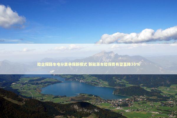 险企探路车电分离承保新模式 新能源车险保费有望直降30%