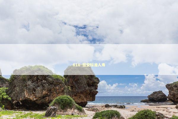 616-恒安标准人寿