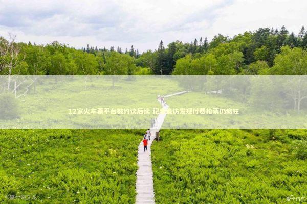 12家火车票平台被约谈后续 记者追访发现付费抢票仍疯狂