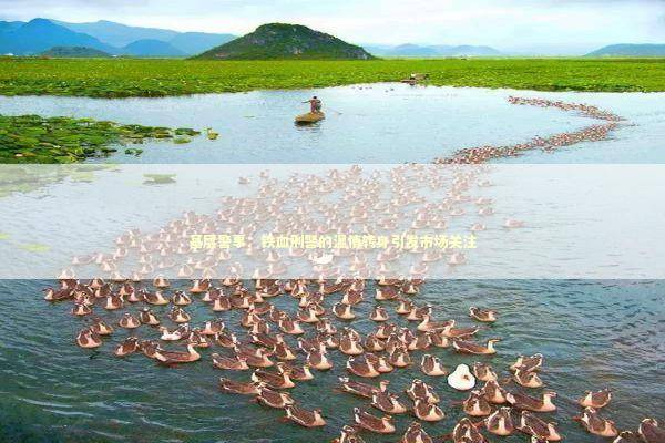 基层警事：铁血刑警的温情转身引发市场关注 新闻