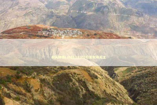 皖天转债(sh113631)引发市场关注