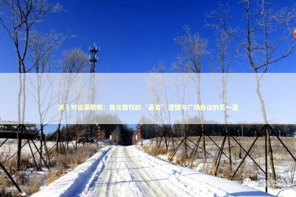 洪灝对话辜朝明：美元霸权的“语言”逻辑与广场协议的另一面