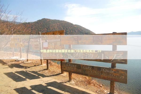 中国虚拟运营商要走出国门引发市场关注_10