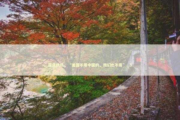 跟风跳坑，“美国不用中国的，我们也不用”_3