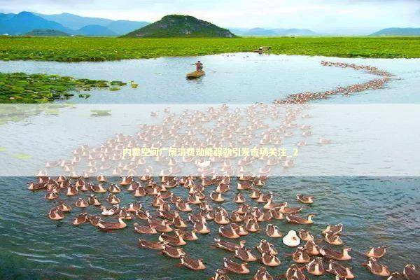 内需空间广阔消费动能强劲引发市场关注_2 内需空间广阔消费动能强劲引发市场关注_2 新闻