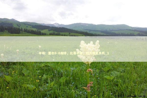 半场：里尔0-0南特，比赛平淡，双方难觅良机_1