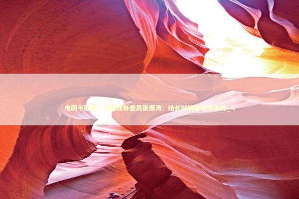 电网不够用？全国政协委员张振涛：给长时储能更多支持_4