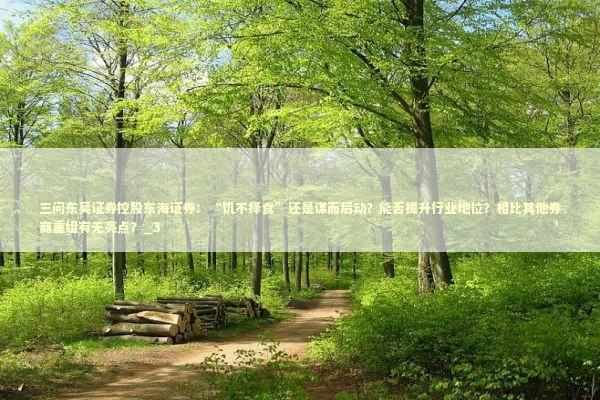 三问东吴证券控股东海证券：“饥不择食”还是谋而后动？能否提升行业地位？相比其他券商重组有无亮点？_3