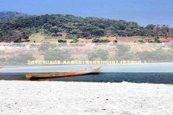 习近平总书记关切事·两会看落实｜强化教育对科技和人才的支撑作用_5