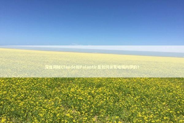 深度揭秘Claude和Palantir是如何杀死哈梅内伊的？ 新闻