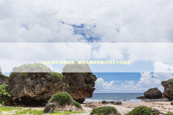 拉法-米尔涉嫌性侵，被检方要求判处10年6个月监禁 新闻