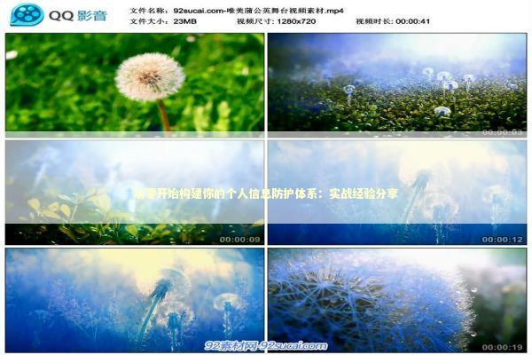 从零开始构建你的个人信息防护体系：实战经验分享 IT技术